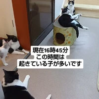 画像1115