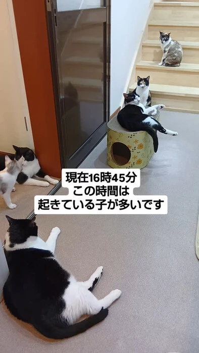 画像1115