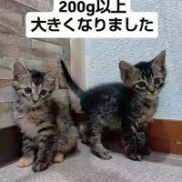画像1117