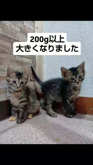 画像1117