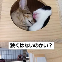 画像1119