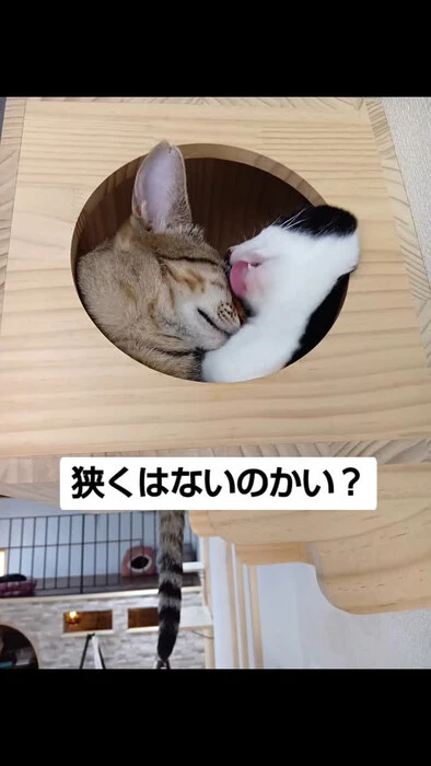 画像1119