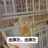 画像1121