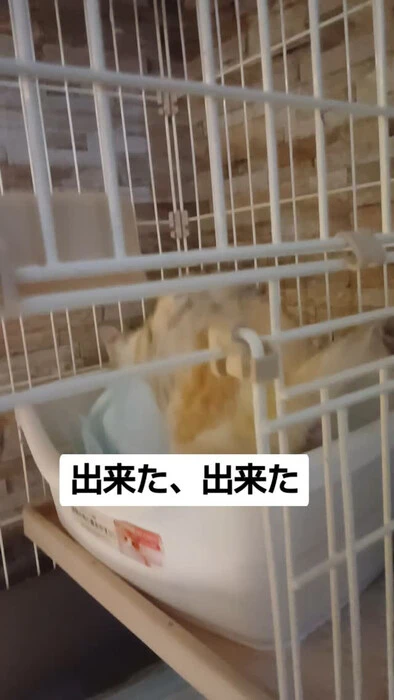 画像1121