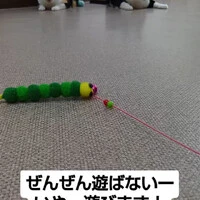 画像1123
