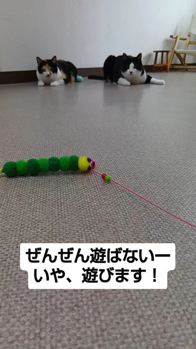 画像1123
