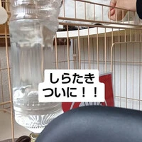 画像1125