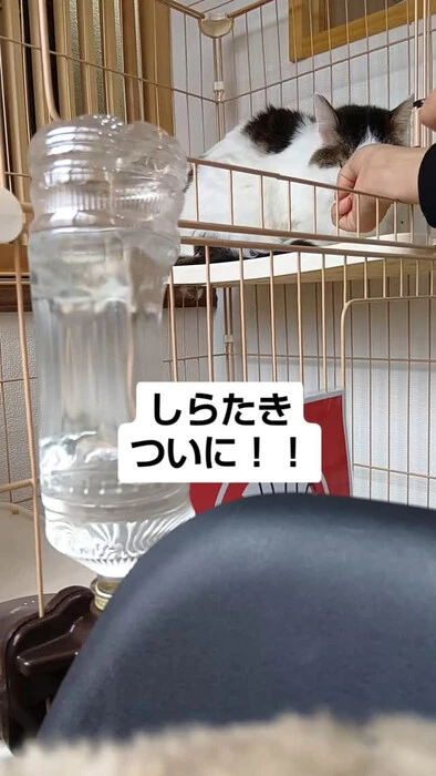画像1125