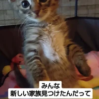 画像1127
