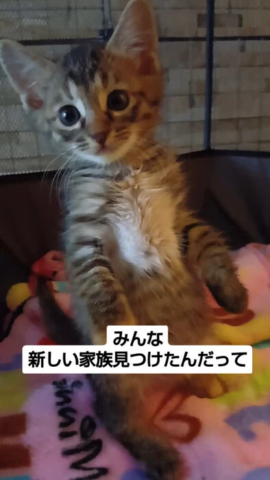 画像1127