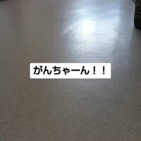 画像1129