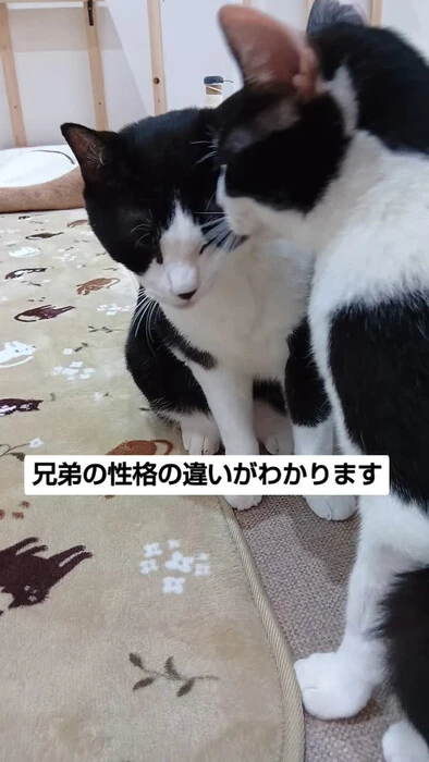 画像1131