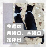 画像1133