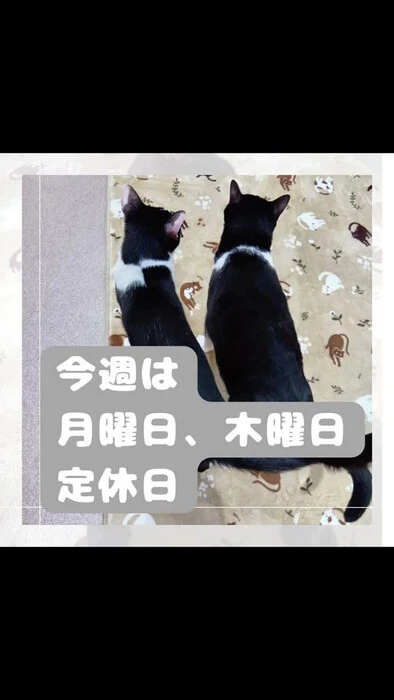 画像1133