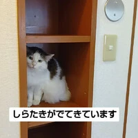 画像1135