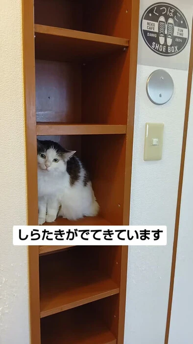 画像1135