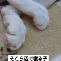 画像1137