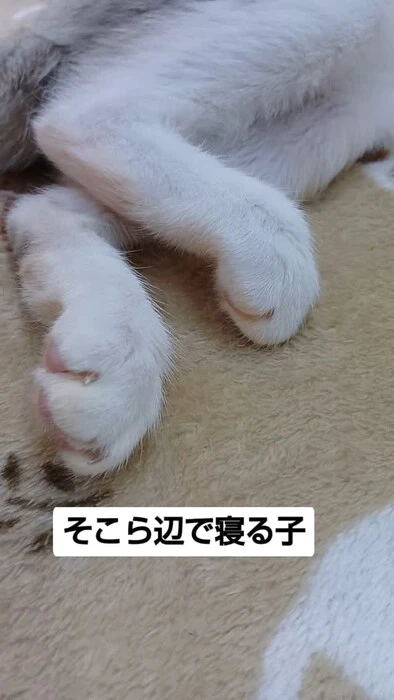 画像1137