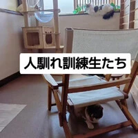 画像1141
