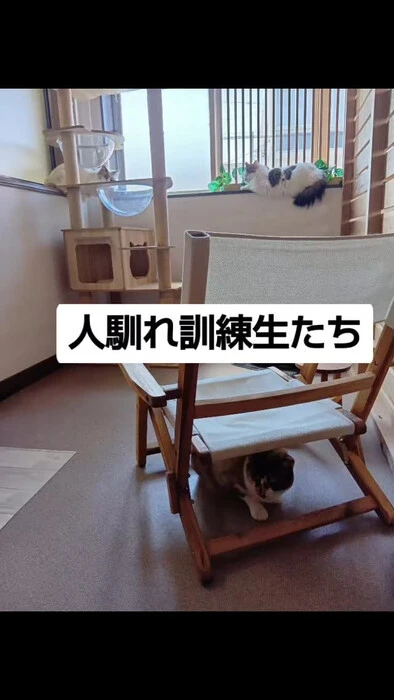 画像1141