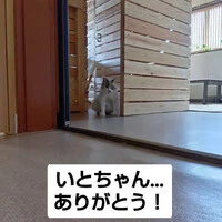 画像1143