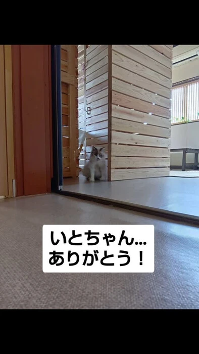 画像1143