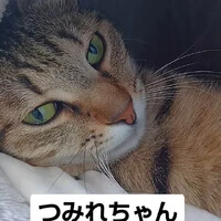 画像1145