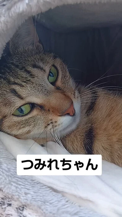 画像1145