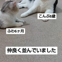 画像1147