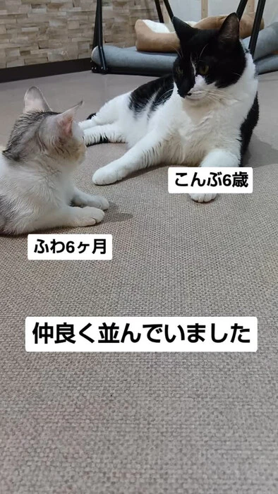 画像1147