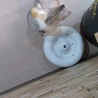 画像1149