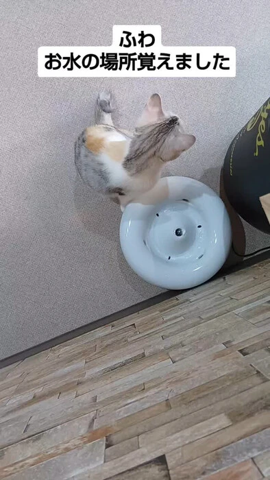 画像1149