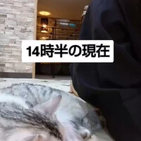 画像1153