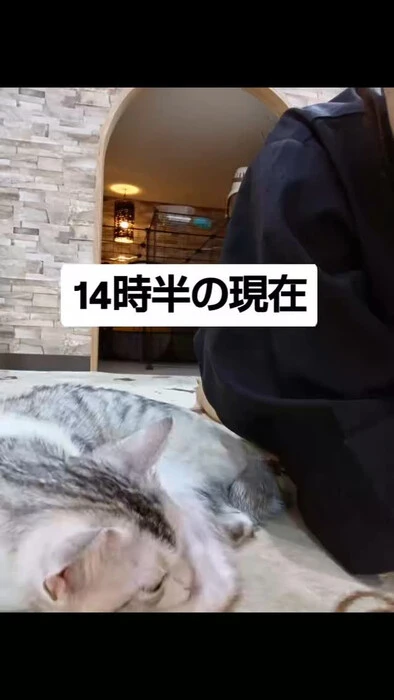 画像1153