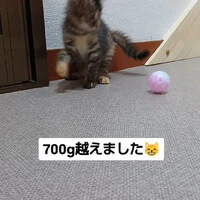画像1155