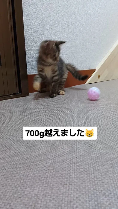 画像1155
