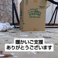 画像1157