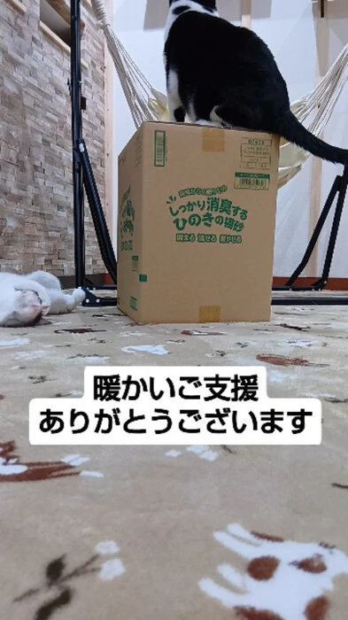 画像1157
