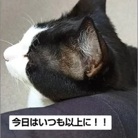 画像1161