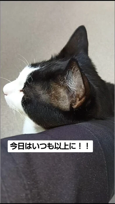 画像1161