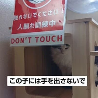 画像1165