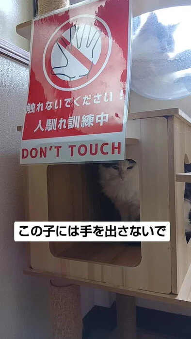 画像1165