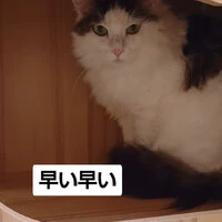 画像1167
