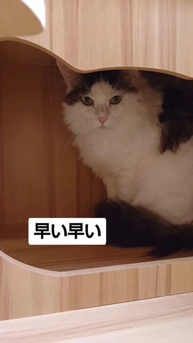 画像1167