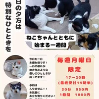 画像1173