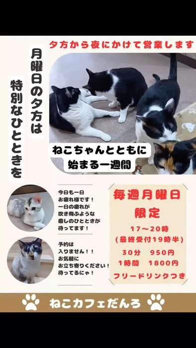 画像1173