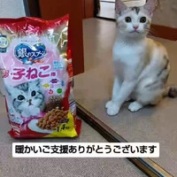 画像1175