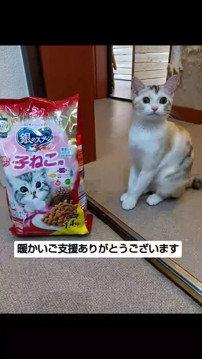 画像1175
