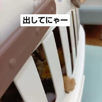 画像1177