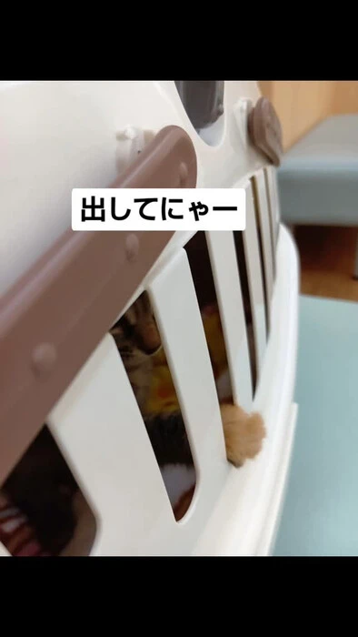 画像1177